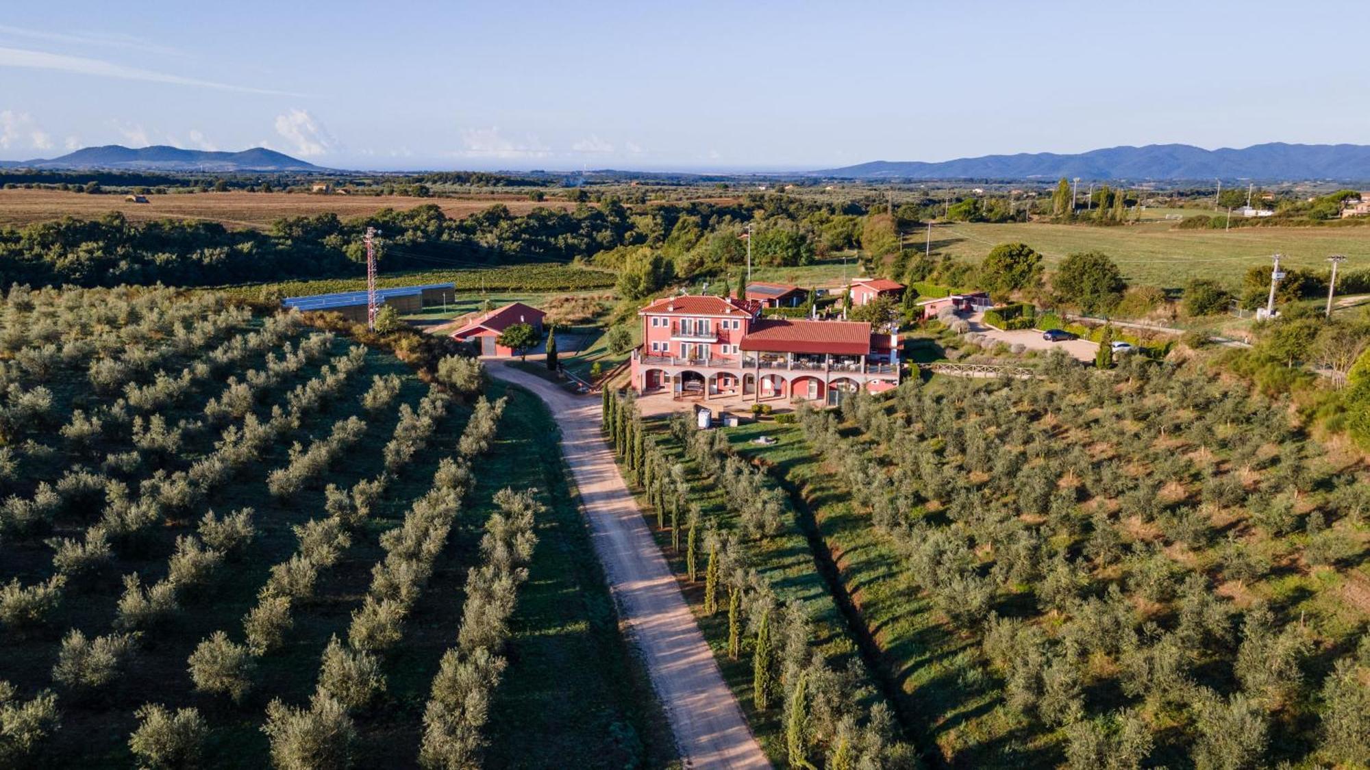 Il Podere Di Marfisa Farnese Dış mekan fotoğraf