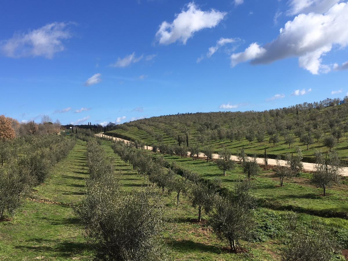 Il Podere Di Marfisa Farnese Dış mekan fotoğraf